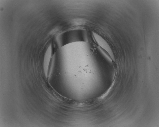 X0000076430174200610061241
