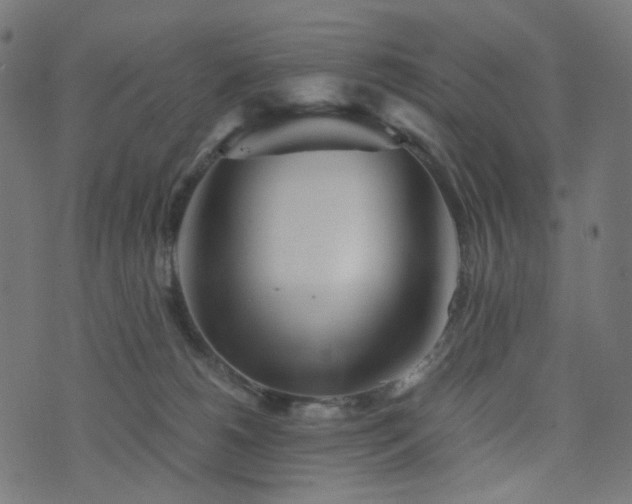 X0000076430180200610061241