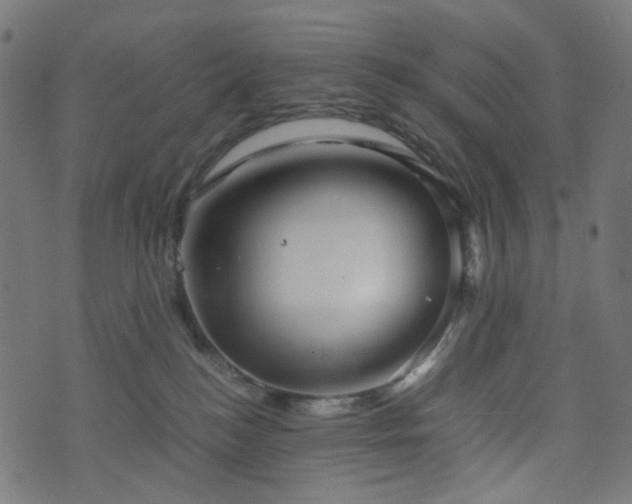 X0000076430184200610061241