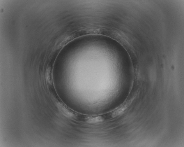 X0000076430185200610061241