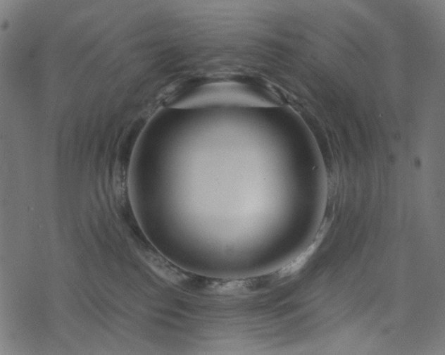 X0000076430186200610061241