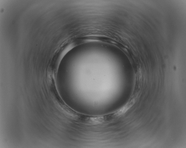 X0000076430188200610061241