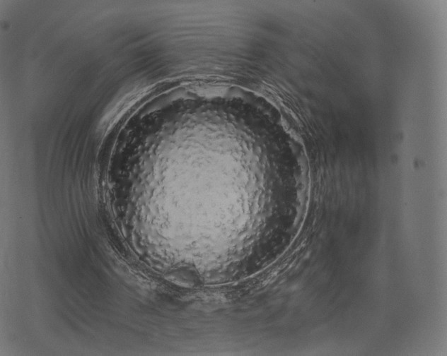 X0000076430194200610061241