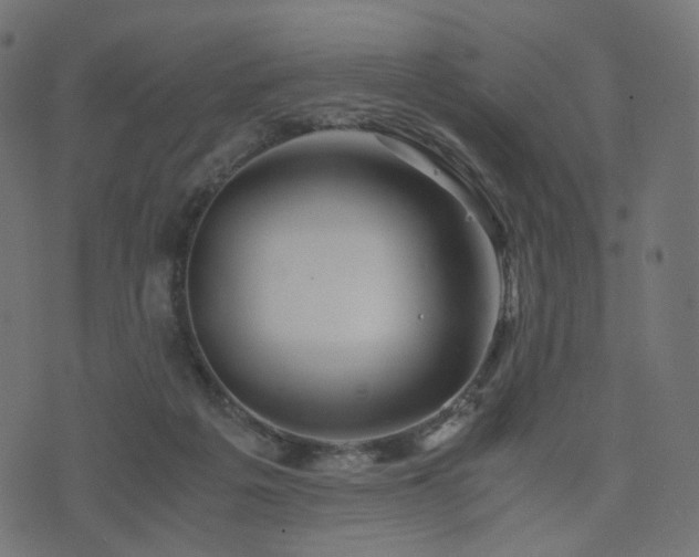 X0000076430217200610061240