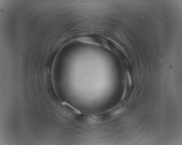 X0000076430229200610061240