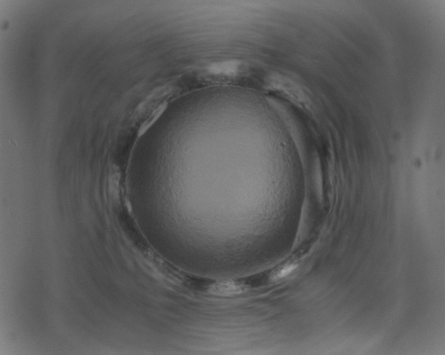 X0000076430231200610061240