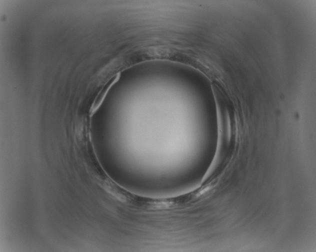 X0000076430233200610061240