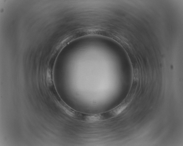 X0000076430238200610061240
