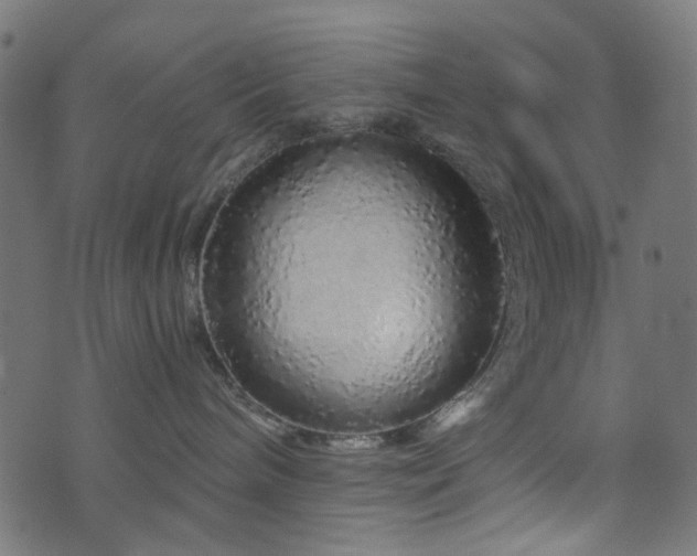 X0000076430240200610061240