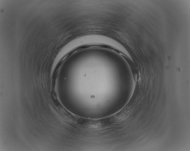 X0000076430263200610061240