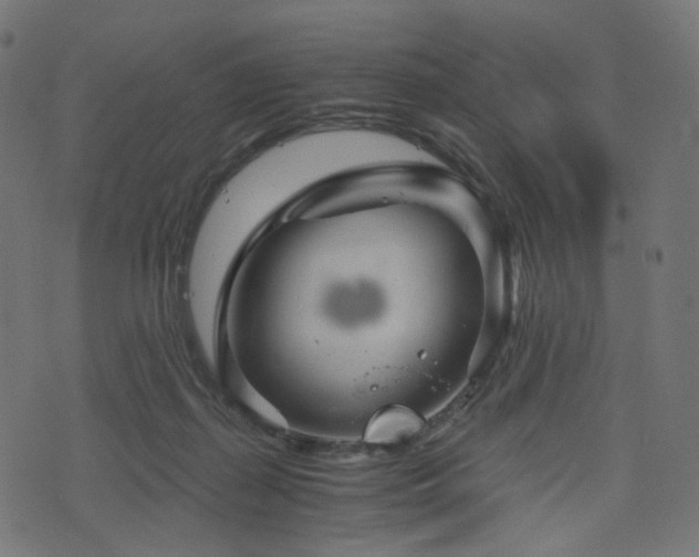 X0000076430267200610061240