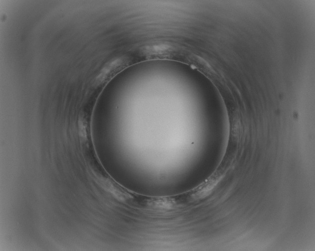 X0000076430282200610061240