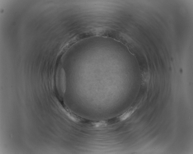 X0000076430286200610061240