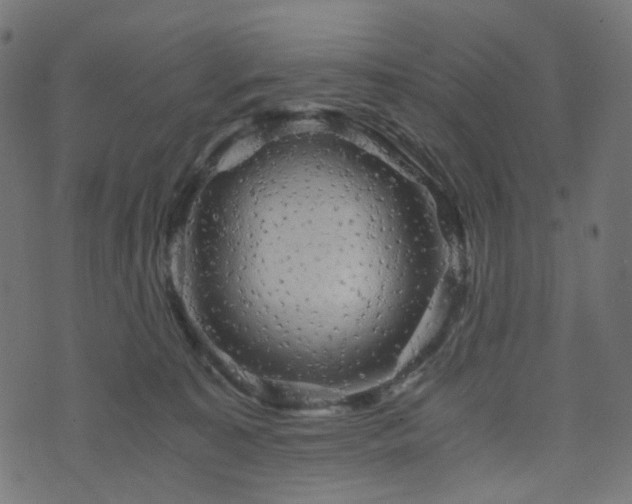 X0000076430323200610061239
