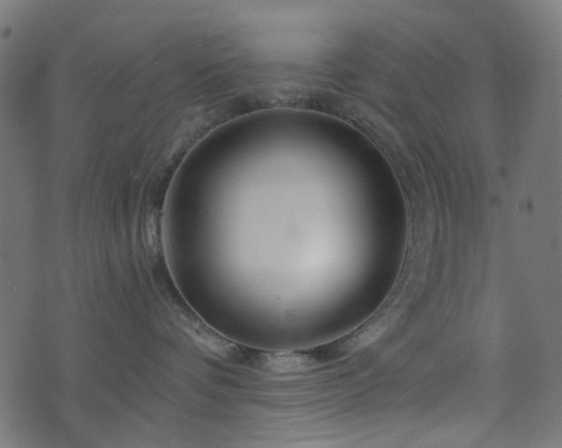 X0000076430336200610061238