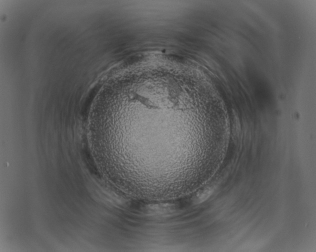 X0000076430367200610061238