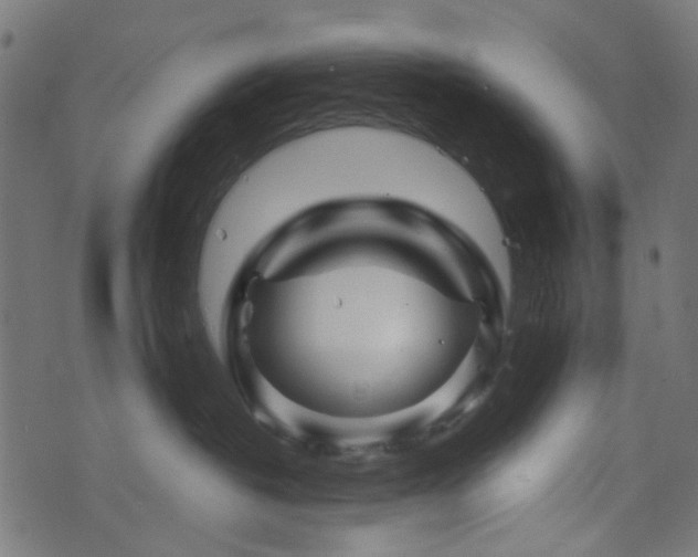 X0000076430382200610061238
