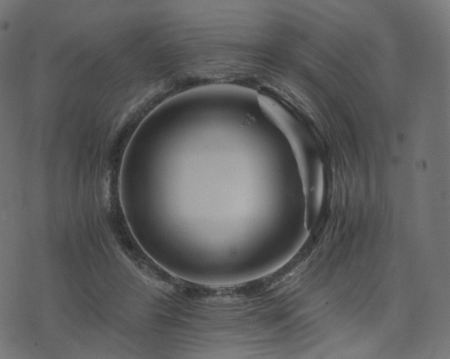 X0000076430404200610061237