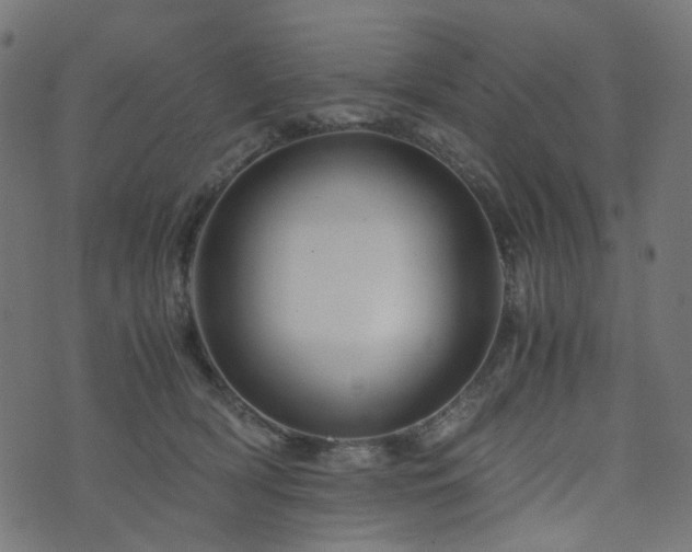 X0000076430418200610061237