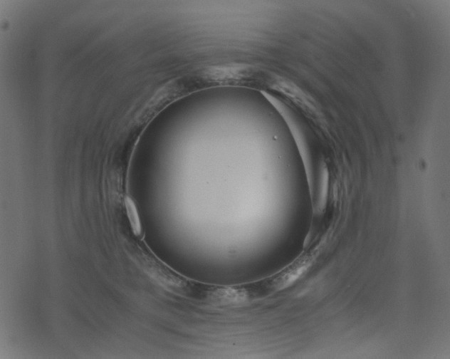 X0000076430421200610061237