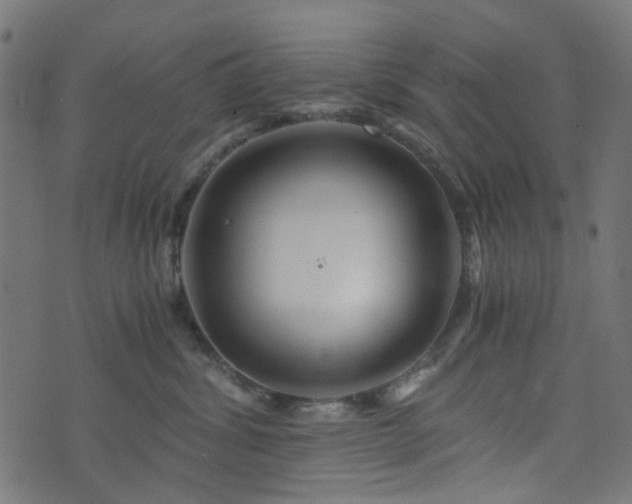 X0000076430428200610061237