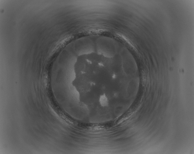 X0000076430451200610061236
