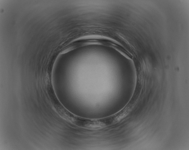 X0000076430459200610061237