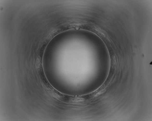 X0000076430463200610061237
