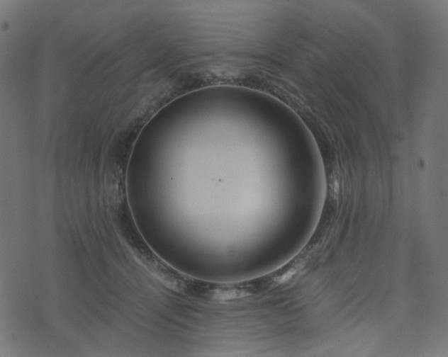 X0000076430464200610061237