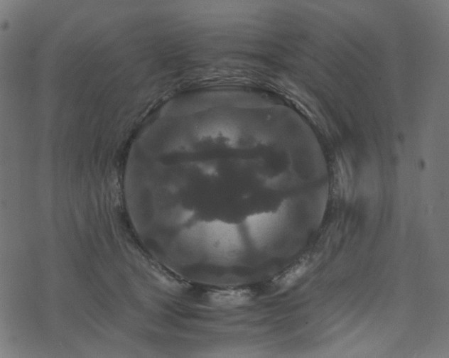 X0000076430465200610061237