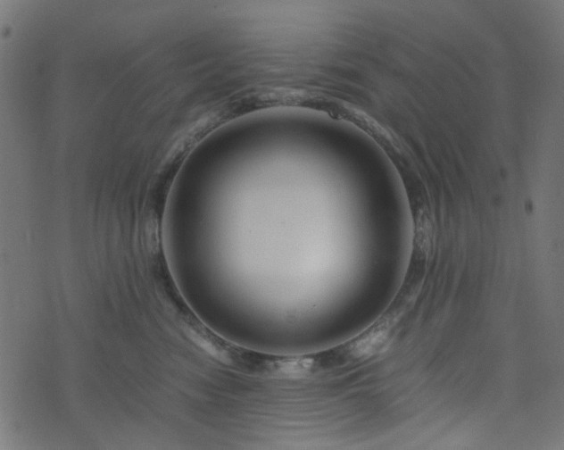 X0000076430474200610061237
