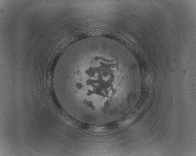 X0000076430507200610061236