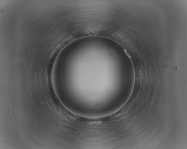 X0000076430508200610061236