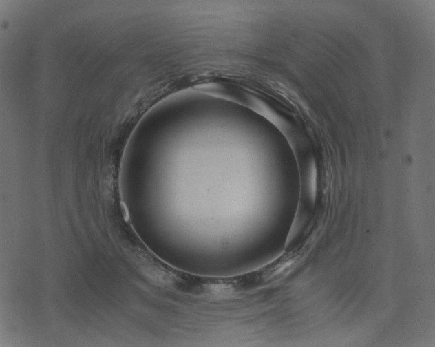 X0000076430509200610061236