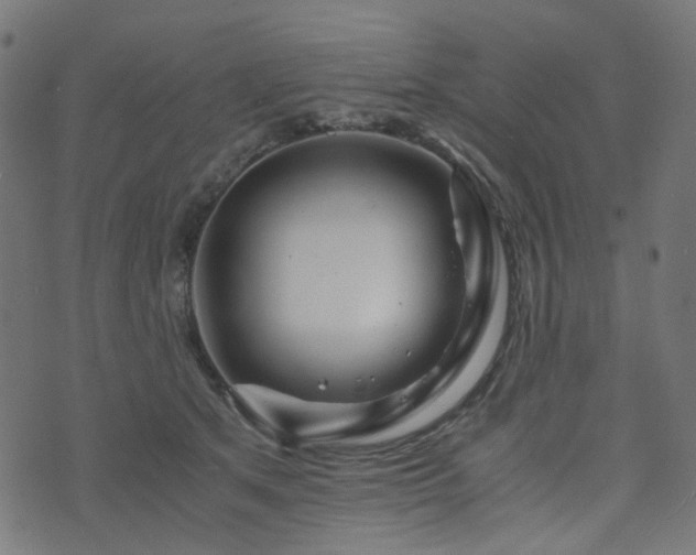 X0000076430513200610061235