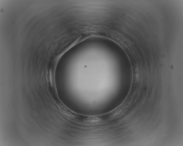 X0000076430514200610061235