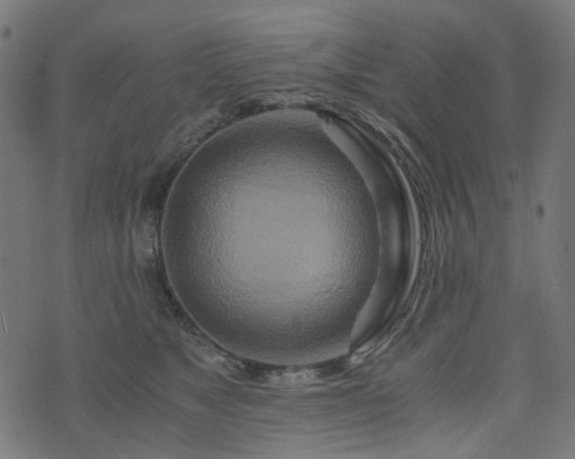 X0000076430517200610061235