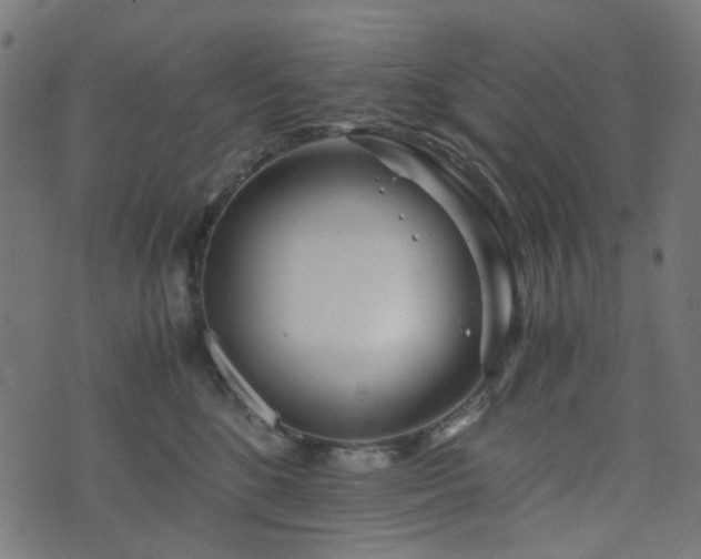 X0000076430520200610061235