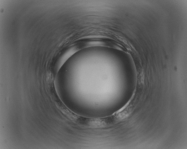 X0000076430521200610061235