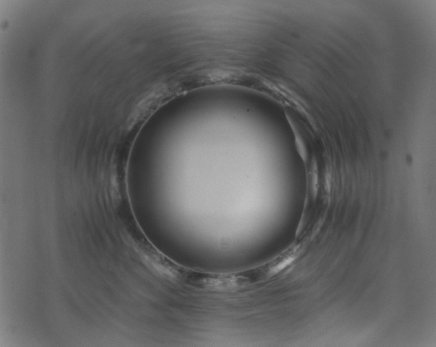 X0000076430524200610061235