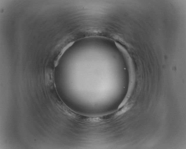 X0000076430528200610061235