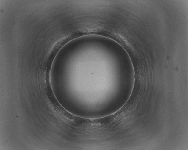 X0000076430543200610061235
