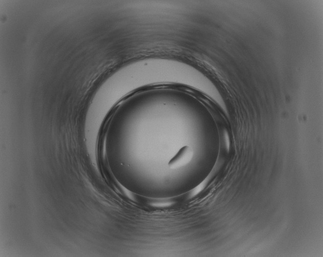 X0000076430546200610061235