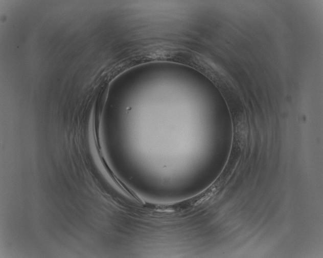 X0000076430554200610061235