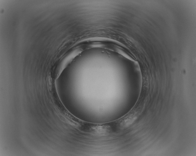 X0000076430558200610061235