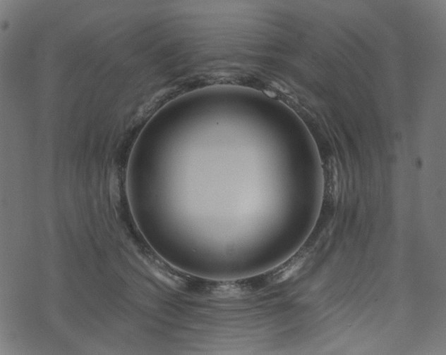 X0000076430562200610061235