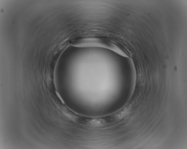 X0000076430566200610061235