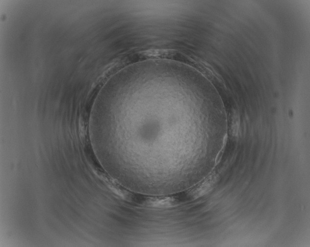 X0000076430569200610061235