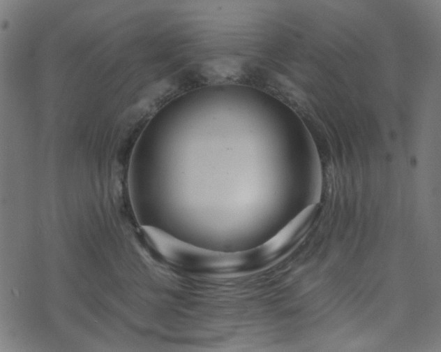 X0000076430570200610061235