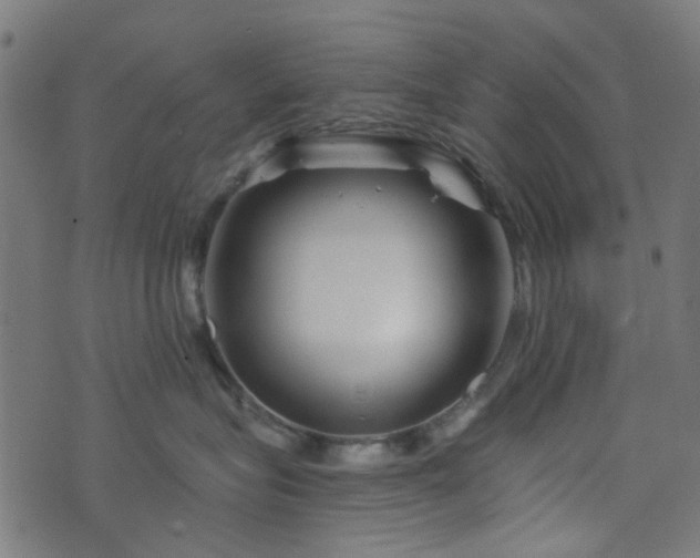X0000076430575200610061235